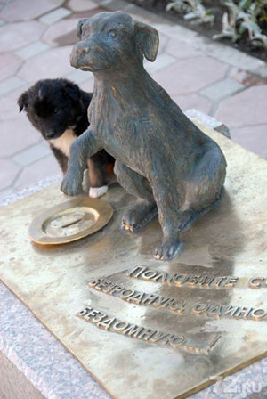 Путешествие в Тюмень к памятнику бездомной собаки